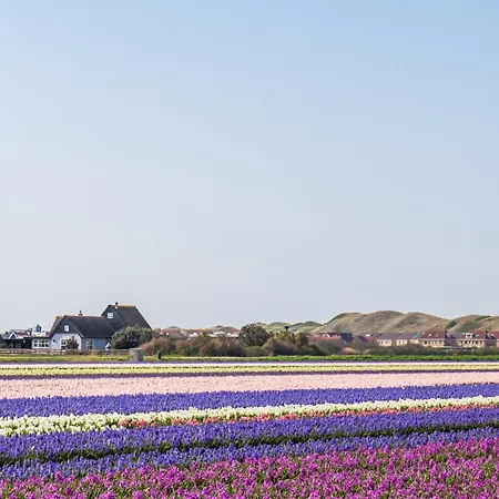 Duynloper - Aan Zee * Julianadorp