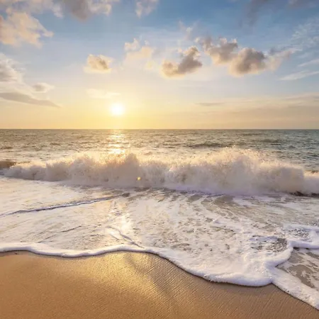 Duynloper - Aan Zee 朱丽安娜多普