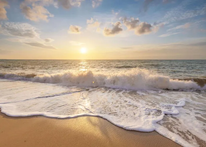 Duynloper - Aan Zee Julianadorp